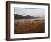 Playing Football on the Banks of the Mekong River, Luang Prabang, Laos, Indochina-Andrew Mcconnell-Framed Photographic Print