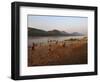 Playing Football on the Banks of the Mekong River, Luang Prabang, Laos, Indochina-Andrew Mcconnell-Framed Photographic Print