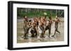 Playing Football-Angela Muliani Hartojo-Framed Photographic Print