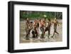 Playing Football-Angela Muliani Hartojo-Framed Photographic Print