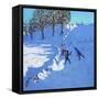 Playing in the Snow Youlgrave, Derbyshire, 2016-Andrew Macara-Framed Stretched Canvas