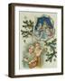 Playing Musical Instruments, Victorian Card-null-Framed Giclee Print