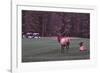 Playing Through-Ike Leahy-Framed Photographic Print