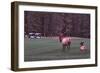 Playing Through-Ike Leahy-Framed Photographic Print