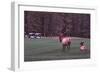 Playing Through-Ike Leahy-Framed Photographic Print