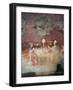 Playing with Tarot Cards-null-Framed Giclee Print