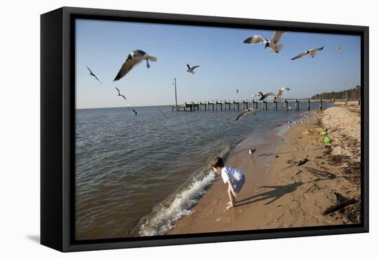 Playing With The Birds At A Beach On Mobile Bay-Carol Highsmith-Framed Stretched Canvas