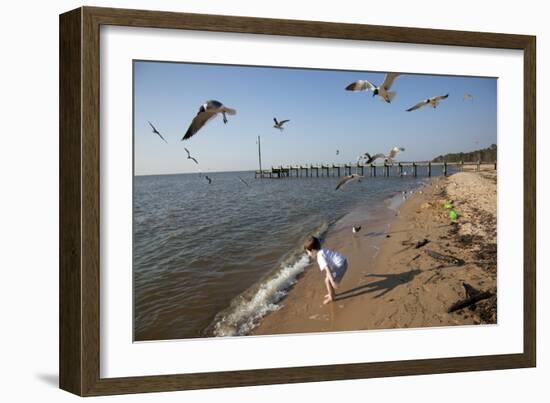 Playing With The Birds At A Beach On Mobile Bay-Carol Highsmith-Framed Art Print