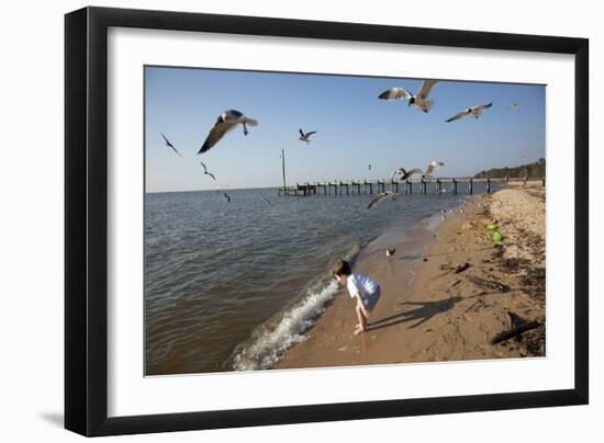 Playing With The Birds At A Beach On Mobile Bay-Carol Highsmith-Framed Art Print