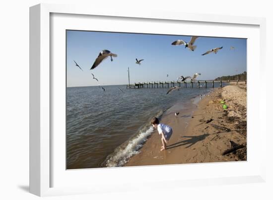 Playing With The Birds At A Beach On Mobile Bay-Carol Highsmith-Framed Art Print