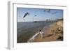 Playing With The Birds At A Beach On Mobile Bay-Carol Highsmith-Framed Art Print