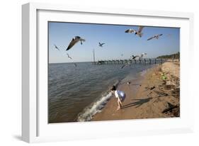 Playing With The Birds At A Beach On Mobile Bay-Carol Highsmith-Framed Art Print