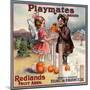 Playmates Brand - Redlands, California - Citrus Crate Label-Lantern Press-Mounted Art Print