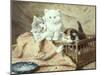 Playmates-Henriette Ronner-Knip-Mounted Giclee Print