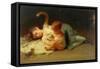 Playmates-John Morgan-Framed Stretched Canvas