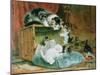 Playtime-Henriette Ronner-Knip-Mounted Giclee Print