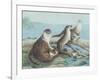 Playtime-Pat Scott-Framed Giclee Print