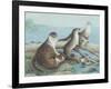 Playtime-Pat Scott-Framed Giclee Print