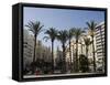 Plaza Ayuntamiento, Palm Trees, Buildings, Valencia, Mediterranean, Costa Del Azahar, Spain, Europe-Martin Child-Framed Stretched Canvas