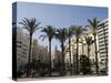 Plaza Ayuntamiento, Palm Trees, Buildings, Valencia, Mediterranean, Costa Del Azahar, Spain, Europe-Martin Child-Stretched Canvas