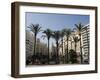 Plaza Ayuntamiento, Palm Trees, Buildings, Valencia, Mediterranean, Costa Del Azahar, Spain, Europe-Martin Child-Framed Photographic Print