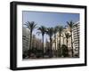 Plaza Ayuntamiento, Palm Trees, Buildings, Valencia, Mediterranean, Costa Del Azahar, Spain, Europe-Martin Child-Framed Photographic Print