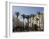 Plaza Ayuntamiento, Palm Trees, Buildings, Valencia, Mediterranean, Costa Del Azahar, Spain, Europe-Martin Child-Framed Photographic Print