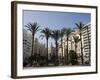 Plaza Ayuntamiento, Palm Trees, Buildings, Valencia, Mediterranean, Costa Del Azahar, Spain, Europe-Martin Child-Framed Photographic Print
