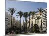 Plaza Ayuntamiento, Palm Trees, Buildings, Valencia, Mediterranean, Costa Del Azahar, Spain, Europe-Martin Child-Mounted Photographic Print