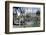 Plaza De Armas, Main Square, Arequipa, Unesco World Heritage Site, Peru, South America-Walter Rawlings-Framed Photographic Print