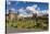 Plaza De Armas with the Cathedral and Iglesia De La Compania De Jesus Church, Cuzco, Peru-Yadid Levy-Stretched Canvas