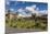 Plaza De Armas with the Cathedral and Iglesia De La Compania De Jesus Church, Cuzco, Peru-Yadid Levy-Mounted Photographic Print