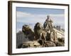 Plaza De Cibeles with Fuente De Cibele, Madrid, Spain, Europe-Angelo Cavalli-Framed Photographic Print