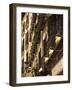 Plaza De Santa Ana, Madrid, Spain-Walter Bibikow-Framed Photographic Print