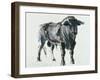 Plaza De Toros De Miajadas, 1998-Mark Adlington-Framed Giclee Print