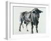 Plaza De Toros De Miajadas, 1998-Mark Adlington-Framed Giclee Print