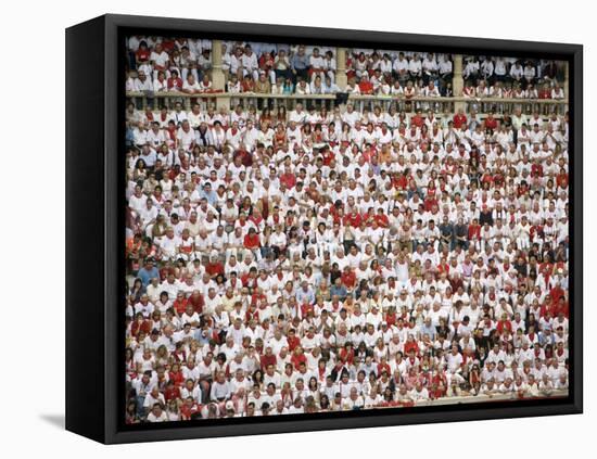 Plaza De Toros, San Fermin Festival, Pamplona, Navarra, Spain, Europe-Marco Cristofori-Framed Stretched Canvas