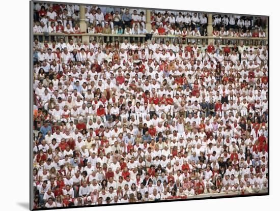 Plaza De Toros, San Fermin Festival, Pamplona, Navarra, Spain, Europe-Marco Cristofori-Mounted Photographic Print