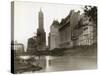 Plaza Hotel as Seen from Central Park-null-Stretched Canvas