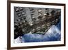 Plaza Hotel Reflection-null-Framed Photo