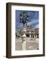 Plaza Mayor and La Colegiata, Osuna, Andalucia, Spain, Europe-Stuart Black-Framed Photographic Print