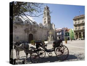 Plaza San Francisco and Basilica Menor De San Francisco De Asis, Old Havana-John Harden-Stretched Canvas