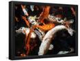 Essential Black