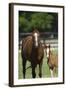 Pleasant Acres, FL-Bob Langrish-Framed Photographic Print