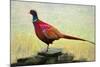 Pleasant Pheasant, 2018,-Helen White-Mounted Giclee Print