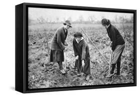 Pleasant, Profitable, Patriotic: on a Fruit-Farm at Letchmore Heath, Near St. Albans-English Photographer-Framed Stretched Canvas