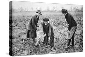 Pleasant, Profitable, Patriotic: on a Fruit-Farm at Letchmore Heath, Near St. Albans-English Photographer-Stretched Canvas