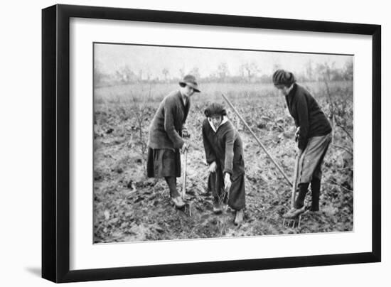 Pleasant, Profitable, Patriotic: on a Fruit-Farm at Letchmore Heath, Near St. Albans-English Photographer-Framed Giclee Print