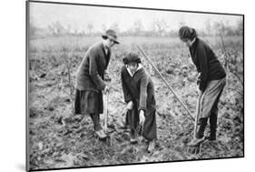 Pleasant, Profitable, Patriotic: on a Fruit-Farm at Letchmore Heath, Near St. Albans-English Photographer-Mounted Giclee Print