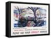 Please Use Your Correct Address-Anthony Rossiter-Framed Stretched Canvas